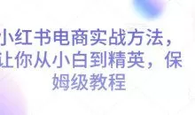 小红书电商实战方法，让你从小白到精英，保姆级教程