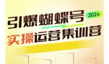 引爆蝴蝶号实操运营，助力你深度掌握蝴蝶号运营，实现高效实操，开启流量变现之路