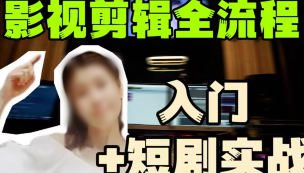 莱尼日记影视剪辑全流程入门+短剧实战课【画质高清有大部分课件】