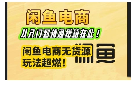 闲鱼电商实战课,从入门到精通秘籍在此,闲鱼电商无货源玩法超燃!