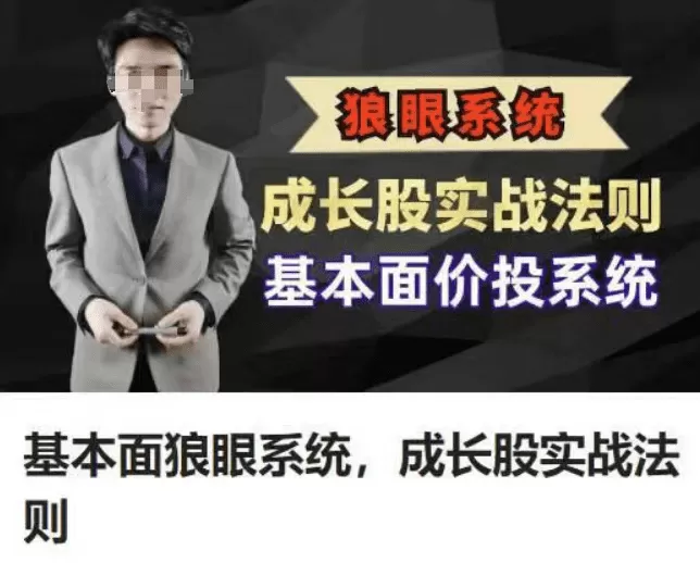 股道九杨基本面狼眼系统，成长股实战法则，基本面价投系统