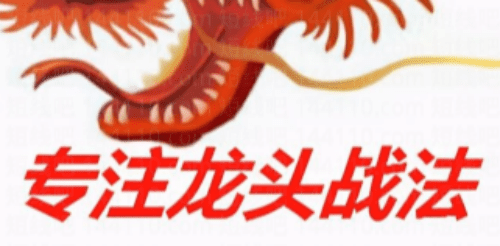 2025新更龙头战法系列课程