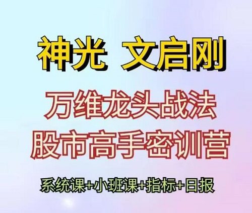 神光文启刚 万维龙头战法股市高手密训营系统课+小班课+日报+指标