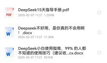 DeepSeek使用指南小白必备 13文档
