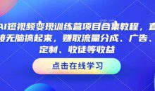 AI短视频变现训练营项目合集教程，直接无脑搞起来，赚取流量分成、广告、定制、收徒等收益