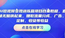 AI短视频变现训练营项目合集教程，直接无脑搞起来，赚取流量分成、广告、定制、收徒等收益