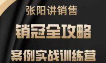 张阳讲销售实战训练营，​案例实战训练，销冠全攻略