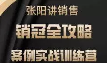 张阳讲销售实战训练营，​案例实战训练，销冠全攻略