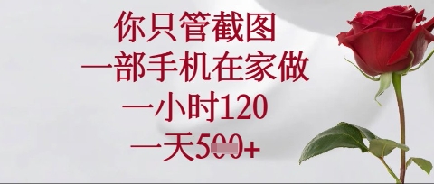 你只管截图,一部手机在家操作,一小时120.一天5张【揭秘】