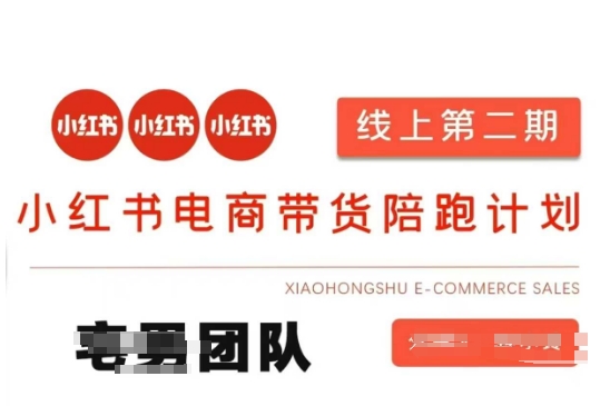 小红书电商带货课2期,月利润20个的小红书电商的有货源,无货源,虚拟产品,付费投流等整套玩法