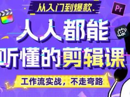 百万剪辑狮人人都能听懂的剪辑思维课2024【画质不错有大部分素材】