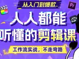 百万剪辑狮人人都能听懂的剪辑思维课2024【画质不错有大部分素材】