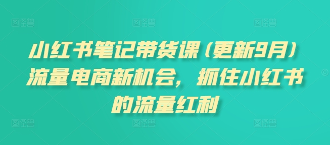张宾·小红书笔记带货课(更新)