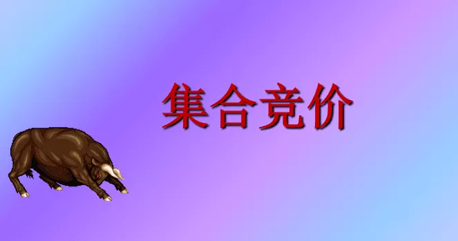 集合竞价文档合集