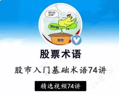 【张一山】炒股基础入门股市基础术语精讲74集