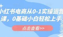 小红书电商从0-1实操运营课，0基础小白轻松上手