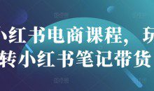 小红书电商课程，玩转小红书笔记带货