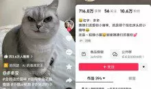 AI技术让动物“开口说话”全程手机操作涨粉10W+，小白轻松上手