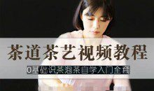 茶艺茶道视频教程 零基础识茶泡茶自学入门全套
