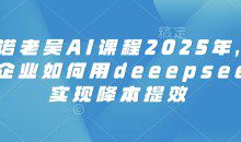 天诺老吴AI课程2025年，电商企业如何用deeepseek实现降本提效