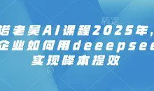 天诺老吴AI课程2025年，电商企业如何用deeepseek实现降本提效