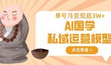 AI国学私域运营模型，单号月变现过W