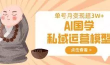 AI国学私域运营模型，单号月变现过W