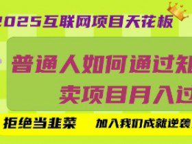 2025互联网项目天花板，普通人如何通过知识付费卖项目月入过W，拒绝当韭菜【揭秘】