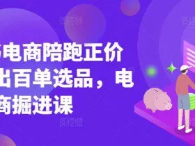 小红书电商陪跑正价课，小红书官方认证电商讲师教学，日出百单选品，电商掘进课