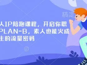 小红书个人IP陪跑课程，开启你职业生涯的PLAN-B，素人也能火成为百万博主的流量密码