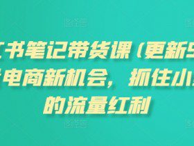 小红书笔记带货课(更新25年3月)流量电商新机会，抓住小红书的流量红利