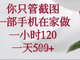 你只管截图，一部手机在家操作，一小时120.一天5张【揭秘】