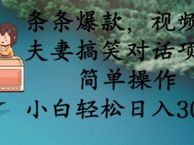 条条爆款，视频号夫妻搞笑对话项目，简单操作，小白轻松日入3张+