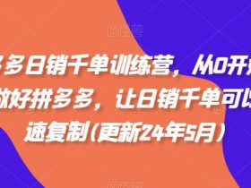 拼多多日销千单训练营，从0开始带你做好拼多多，让日销千单可以快速复制(更新25年3月)