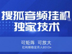 【搜狐音频挂G】独家技术，可矩阵可放大，红利期稳定月入8k【揭秘】