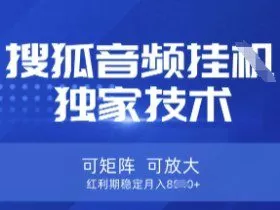 【搜狐音频挂G】独家技术，可矩阵可放大，红利期稳定月入8k【揭秘】