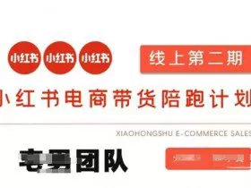 小红书电商带货课2期，月利润20个的小红书电商的有货源，无货源，虚拟产品，付费投流等整套玩法