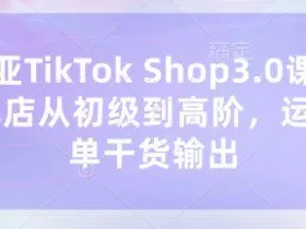 东南亚TikTok Shop3.0课程，TK小店​从初级到高阶，运营出单干货输出