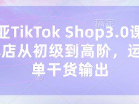 东南亚TikTok Shop3.0课程，TK小店​从初级到高阶，运营出单干货输出