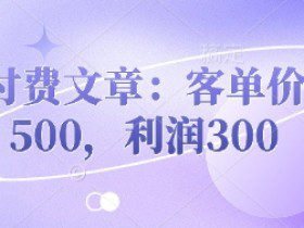 付费文章：客单价500，利润300