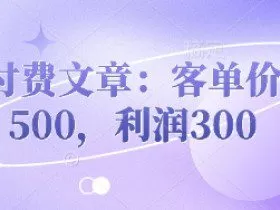 付费文章：客单价500，利润300