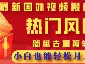 2025最新视频搬砖项目，热门风口，简单去重剪辑，小白也能轻松月入过W