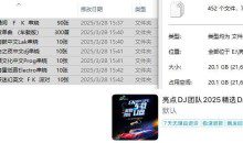 抖音卖的亮点DJ 2025精选DJ车载无损音乐第6期 20G
