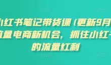 张宾·小红书笔记带货课（更新）