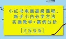 小红书电商高级课程，新手小白必学方法，实操教学+案例分析