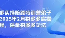 拼多多实操陪跑特训营弟子班，2025年2月拼多多实操课程，海量拼多多玩法