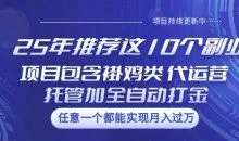 25年推荐这10个副业项目包含褂鸡类、代运营托管类、全自动打金类【揭秘】