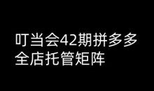 叮当会拼多多打爆班原创高阶技术第42期，拼多多全店托管矩阵