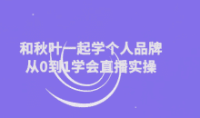 和秋叶一起学个人品牌从0到1学会直播实操