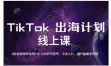 TikTok跨境电商新手起号与运营全攻略，0基础做跨境电商TIKTOK新手起号，小店入驻，操作指南全流程